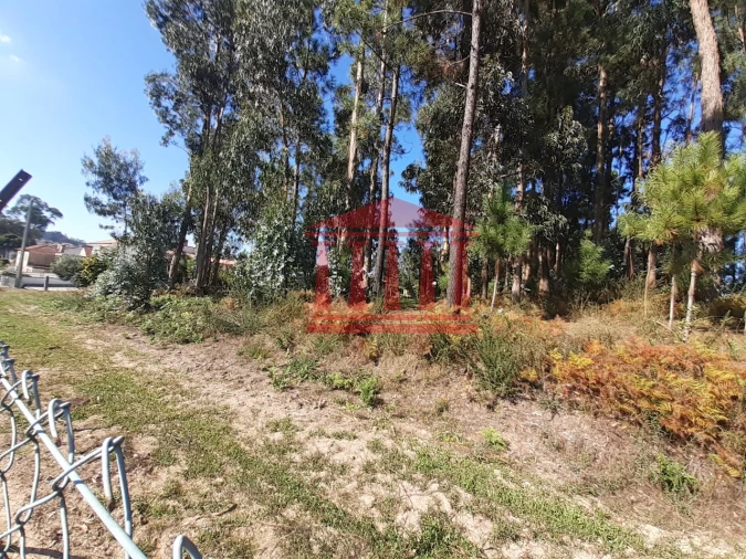 Terreno para Venda em Varzea Foto 9