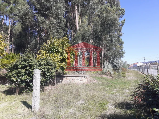 Terreno para Venda em Varzea Foto 11