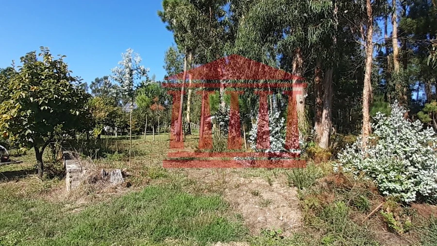 Terreno para Venda em Varzea