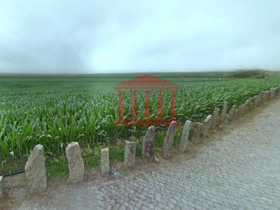 Terreno para Venda em Alvelos Foto 4