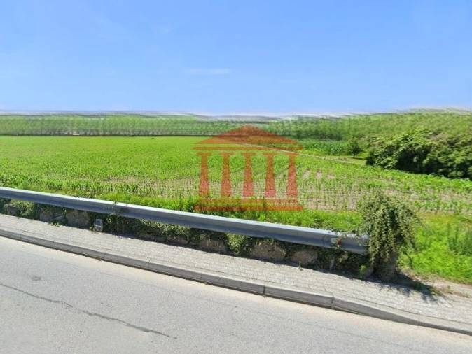 Terreno para Venda em Alvelos Foto 3