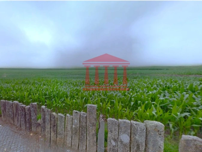 Terreno para Venda em Alvelos Foto 6