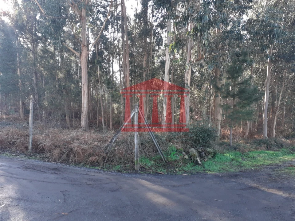 Terreno para Venda em Remelhe Foto 3
