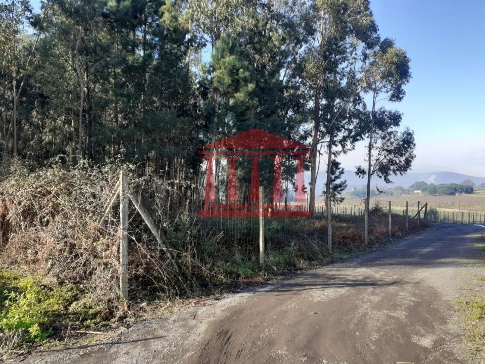 Terreno para Venda em Remelhe Foto 4
