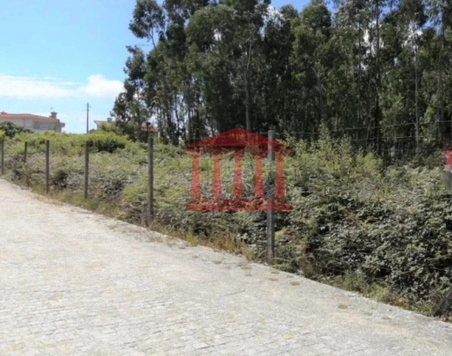 Terreno para Venda em Remelhe Foto 6