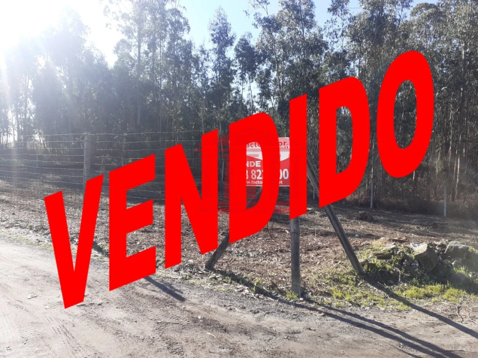 Terreno para Venda em Remelhe Foto 1