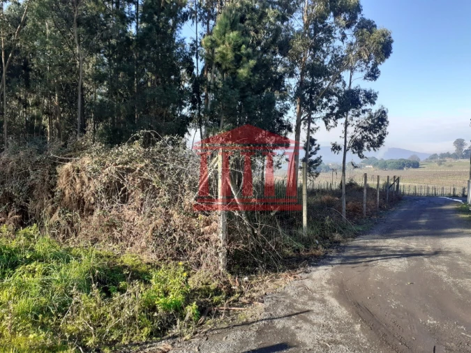 Terreno para Venda em Remelhe Foto 5