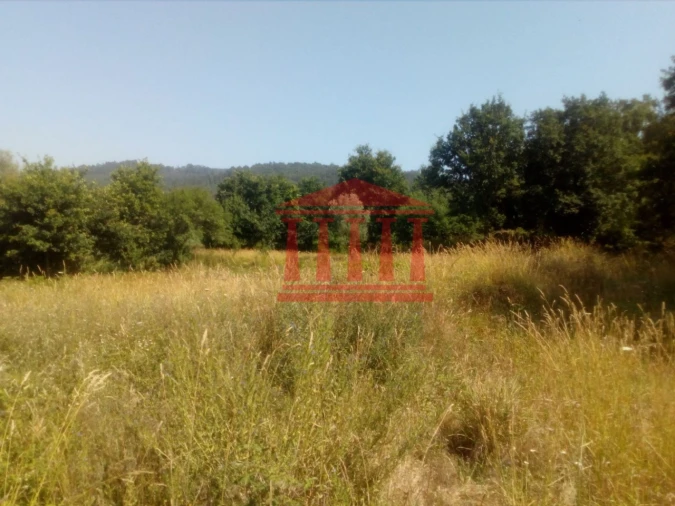 Terreno para Venda em Panque Foto 2