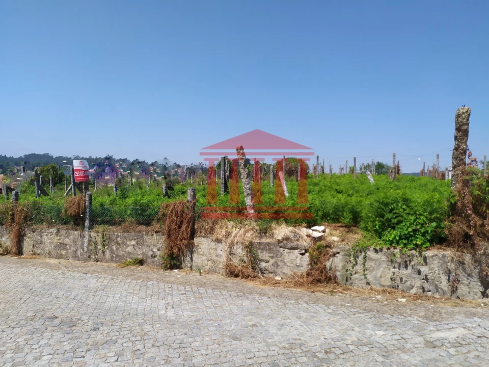 Terreno para Venda em Silveiros e Rio Covo (Santa Eulália) Foto 6