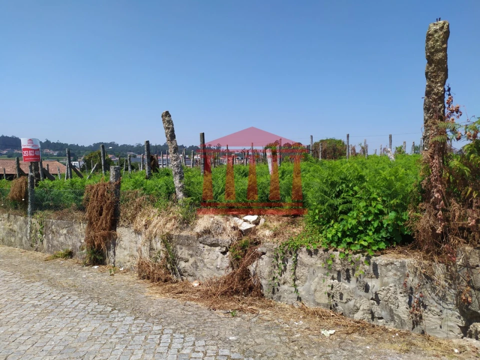 Terreno para Venda em Silveiros e Rio Covo (Santa Eulália) Foto 2