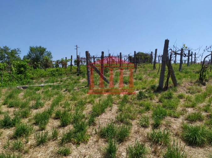 Terreno para Venda em Silveiros e Rio Covo (Santa Eulália) Foto 4