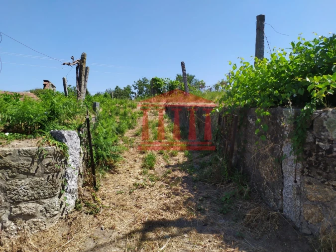 Terreno para Venda em Silveiros e Rio Covo (Santa Eulália) Foto 12