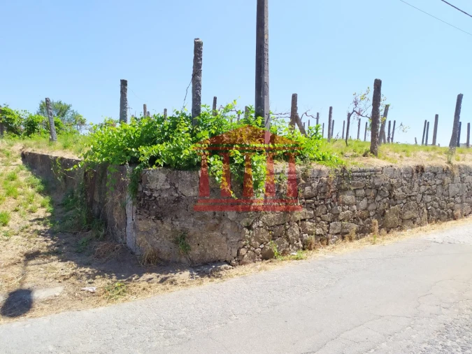 Terreno para Venda em Silveiros e Rio Covo (Santa Eulália) Foto 18