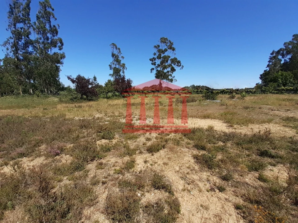 Terreno para Venda em Barqueiros Foto 2