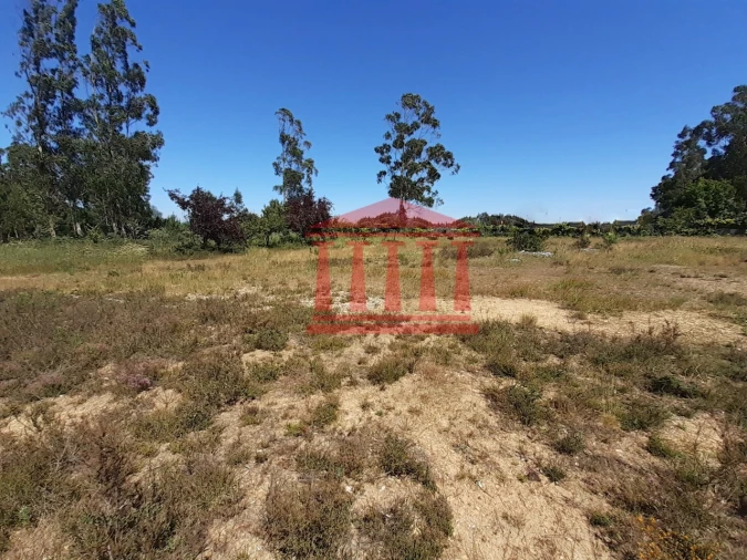 Terreno para Venda em Barqueiros Foto 2