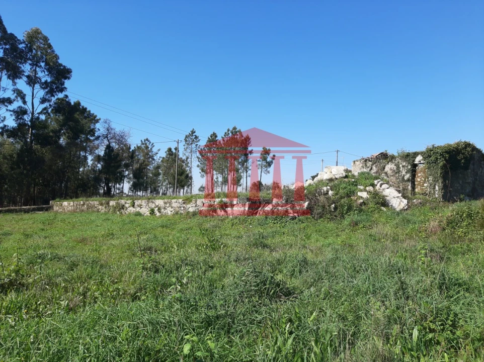 Terreno para Venda em Vila Cova e Feitos Foto 4