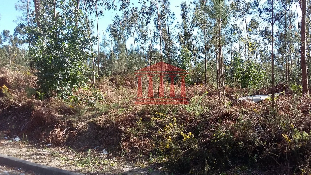 Terreno para Venda em Remelhe Foto 1