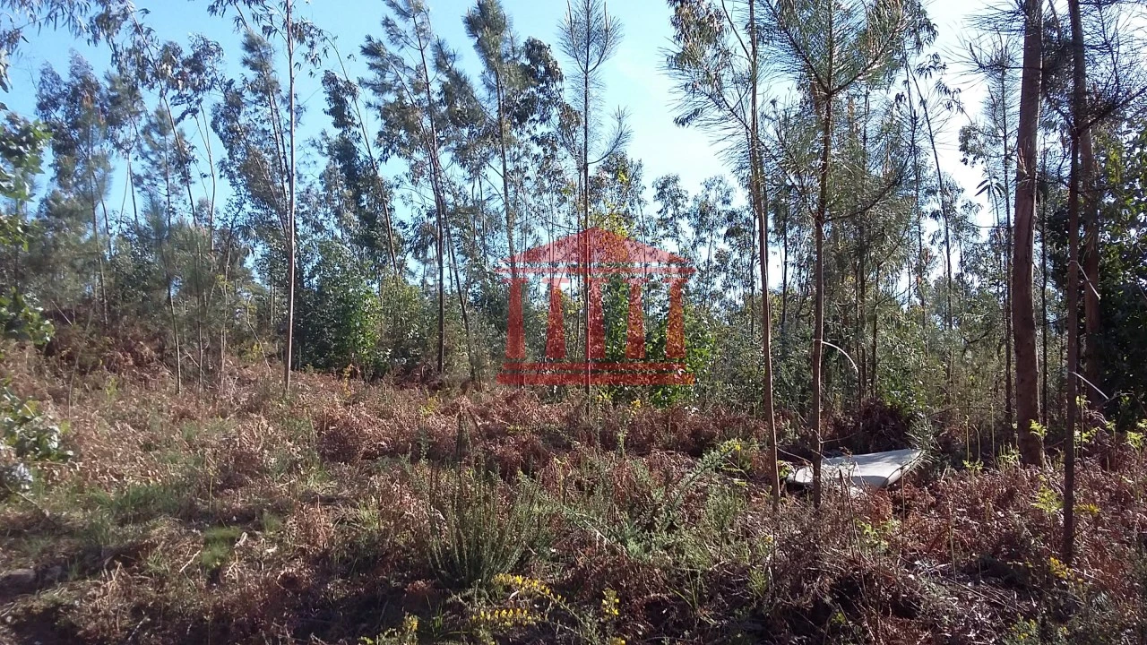 Terreno para Venda em Remelhe Foto 2