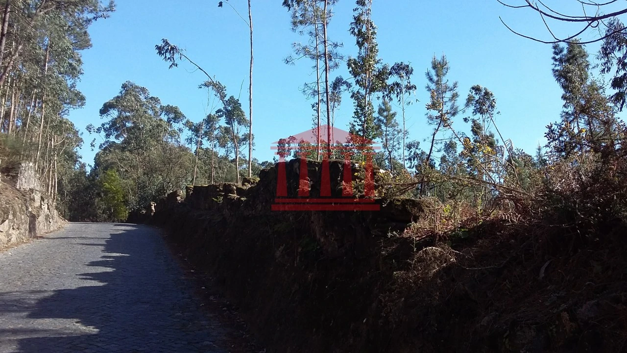 Terreno para Venda em Remelhe Foto 4