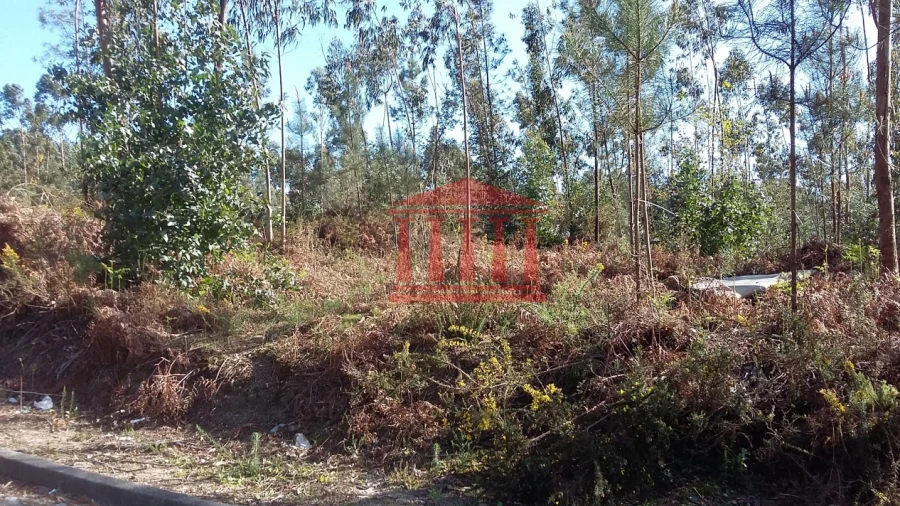 Terreno para Venda em Remelhe