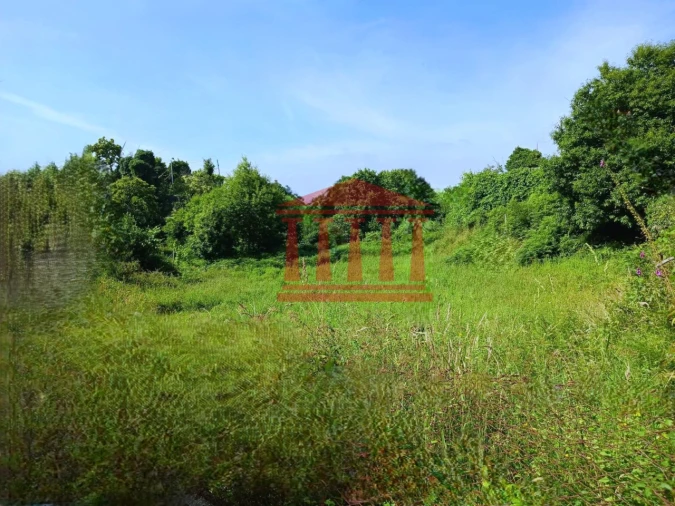 Terreno para Venda em Areias de Vilar e Encourados Foto 2