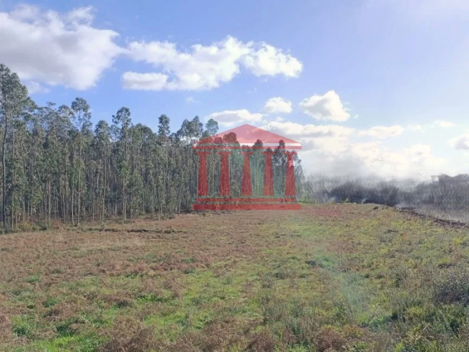 Terreno para Venda em Alheira e Igreja Nova Foto 5