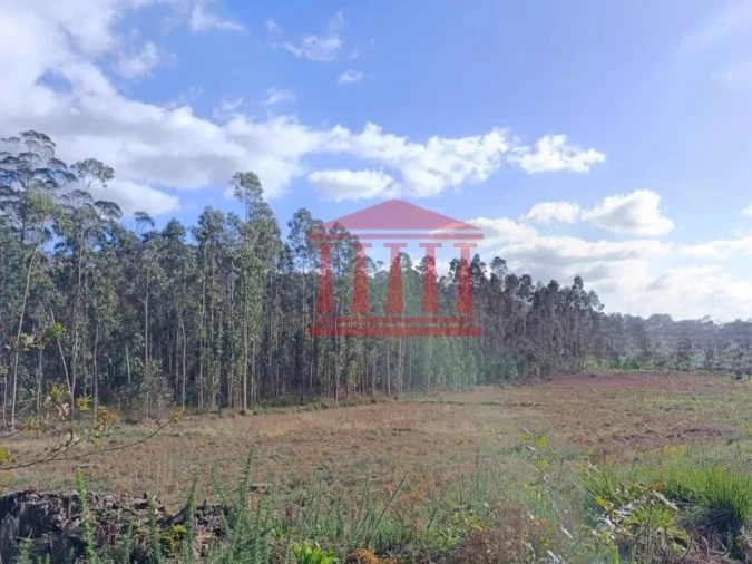 Terreno para Venda em Alheira e Igreja Nova Foto 2