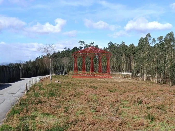 Terreno para Venda em Alheira e Igreja Nova Foto 6