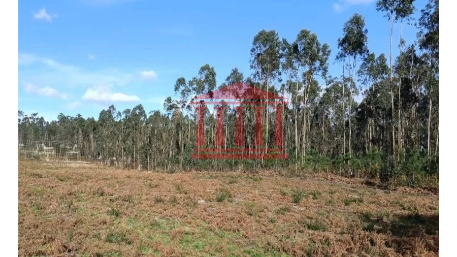 Terreno para Venda em Alheira e Igreja Nova