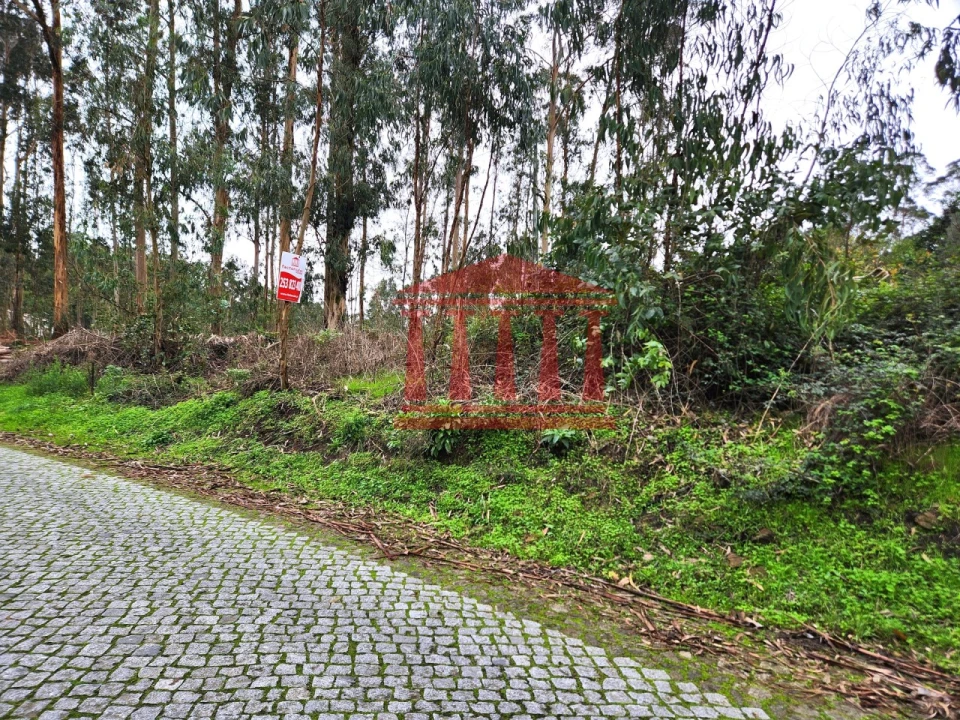 Terreno para Venda em Chorente, Góios, Courel, Pedra Furada e Gueral Foto 8