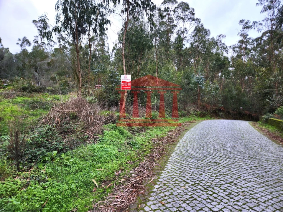 Terreno para Venda em Chorente, Góios, Courel, Pedra Furada e Gueral Foto 10