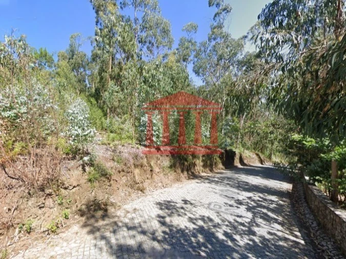 Terreno para Venda em Chorente, Góios, Courel, Pedra Furada e Gueral Foto 3