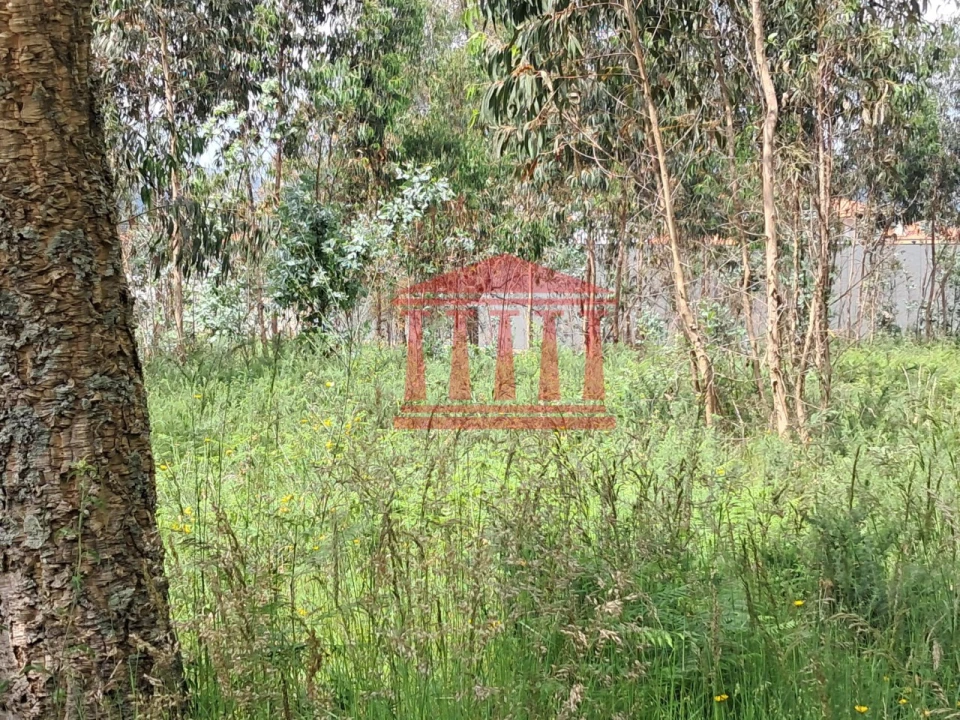 Terreno para Venda em Barcelos, V.Boa, V.Frescainha Foto 4