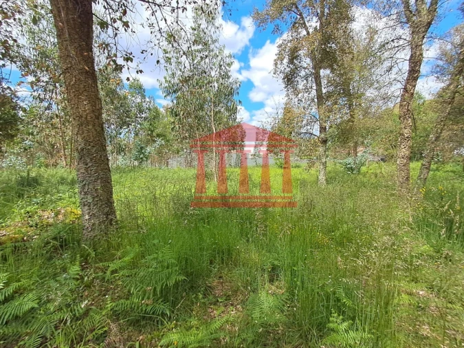Terreno para Venda em Barcelos, V.Boa, V.Frescainha Foto 1