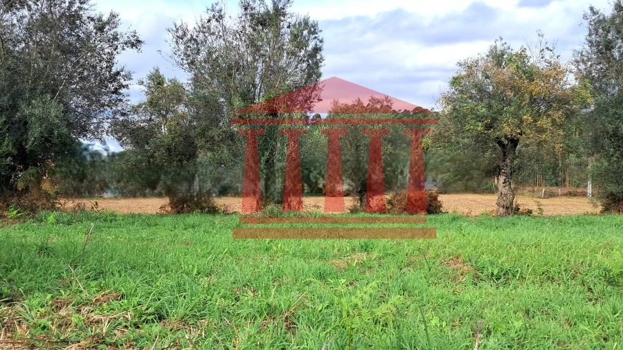 Terreno para Venda em Alheira e Igreja Nova