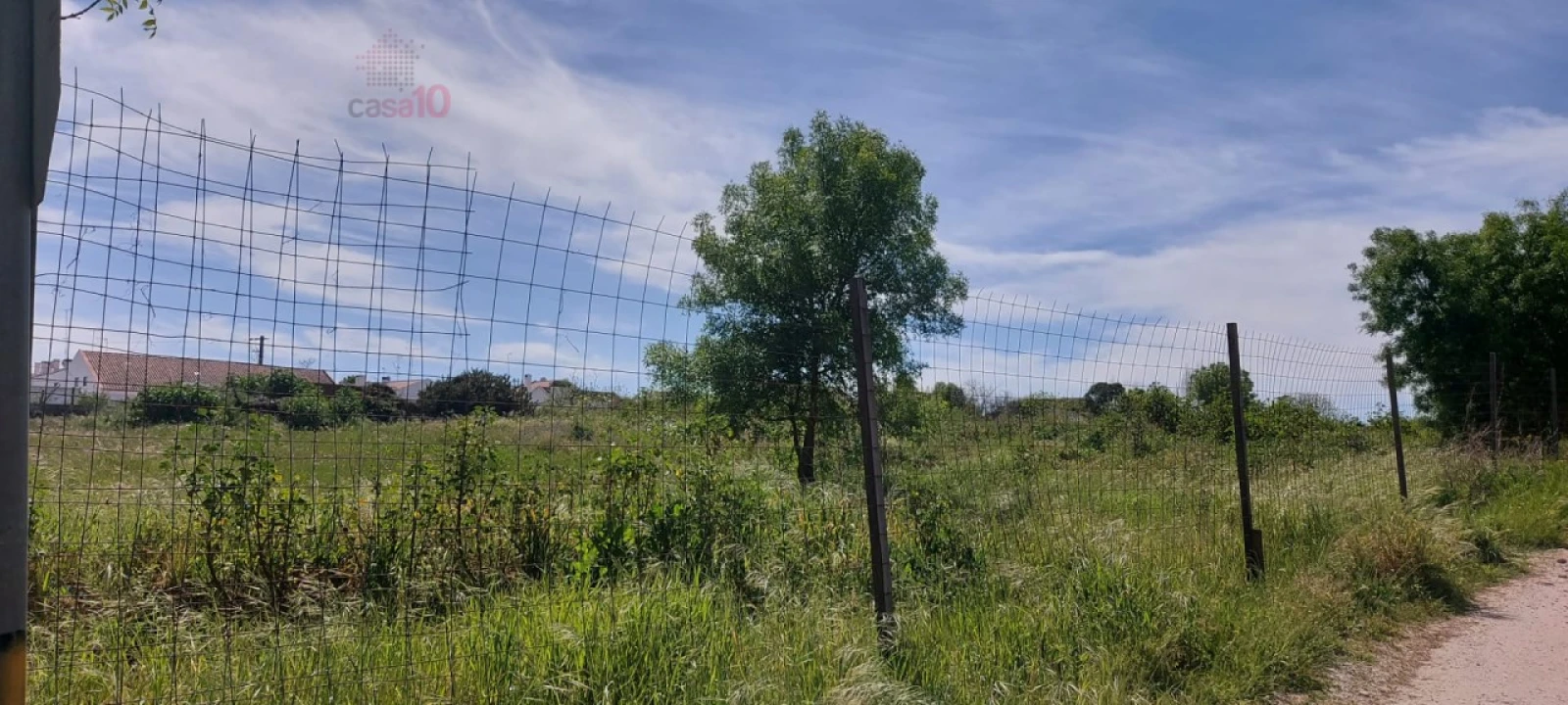 Terreno para Venda em Bacelo e Senhora da Saúde Foto 3