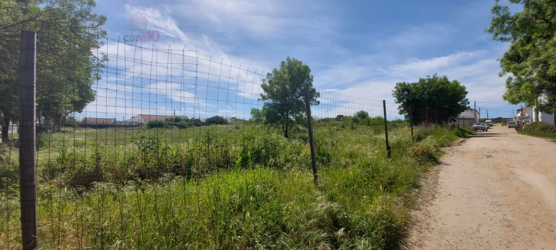 Terreno para Venda em Bacelo e Senhora da Saúde Foto 4