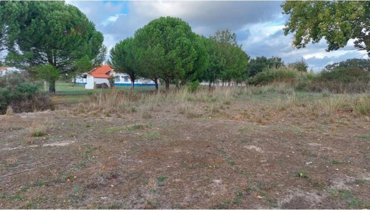 Terreno para Venda em Nossa Senhora da Tourega e Nossa Senhora de Guadalupe Foto 4