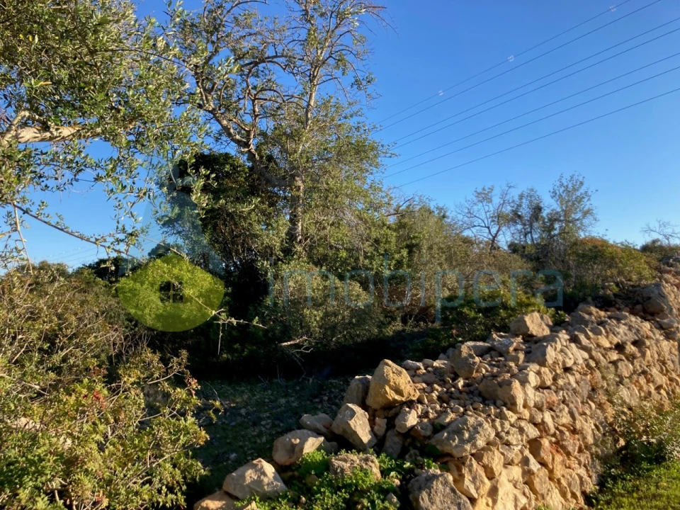 Terreno Agricola ou Rústico para Venda em Paderne Foto 1