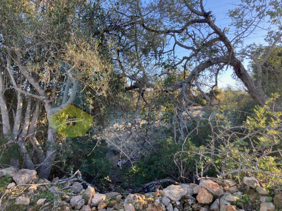 Terreno Agricola ou Rústico para Venda em Paderne Foto 5