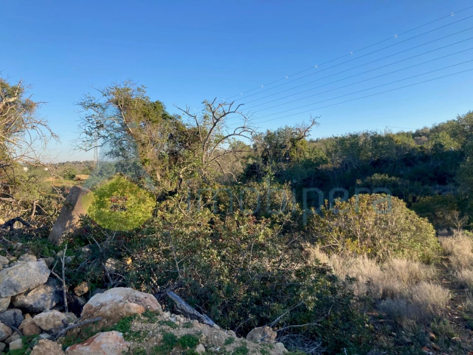 Terreno Agricola ou Rústico para Venda em Paderne Foto 6