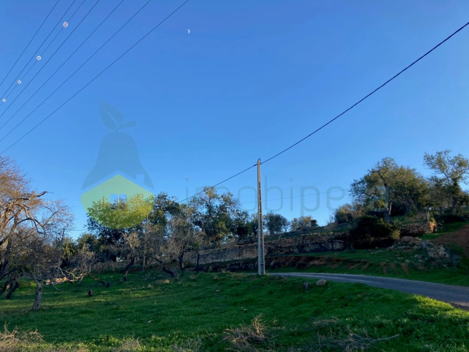 Terreno Agricola ou Rústico para Venda em Paderne Foto 10