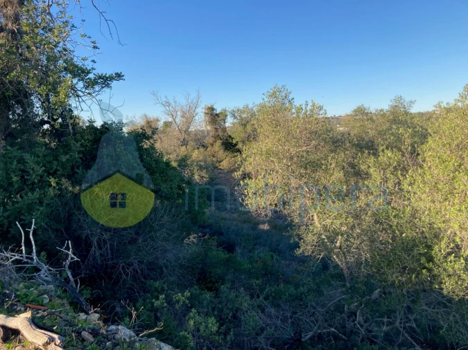 Terreno Agricola ou Rústico para Venda em Paderne Foto 9