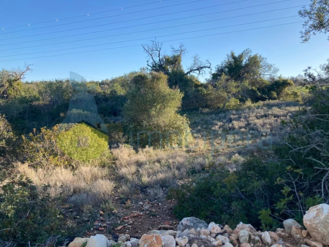 Terreno Agricola ou Rústico para Venda em Paderne Foto 3