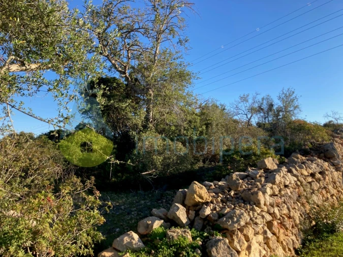 Terreno Agricola ou Rústico para Venda em Paderne Foto 1