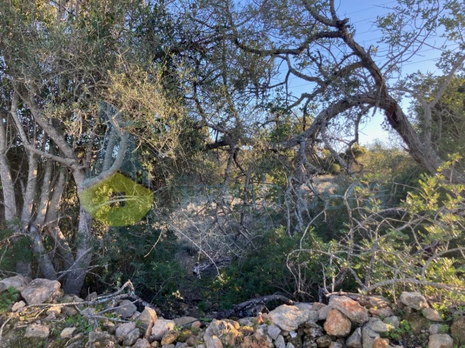 Terreno Agricola ou Rústico para Venda em Paderne Foto 5