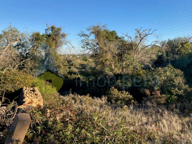 Terreno Agricola ou Rústico para Venda em Paderne Foto 8