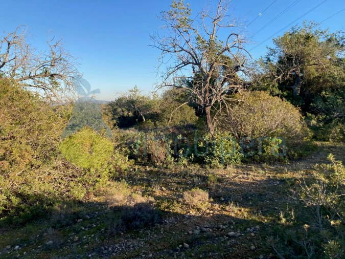 Terreno Agricola ou Rústico para Venda em Paderne Foto 2