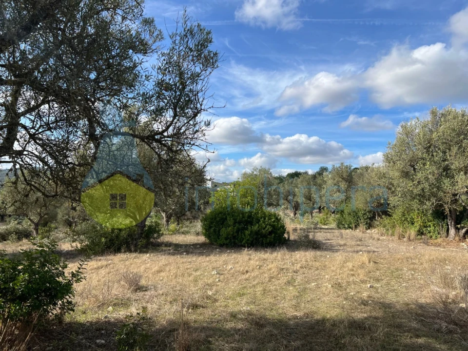 Terreno para Venda em Paderne Foto 6