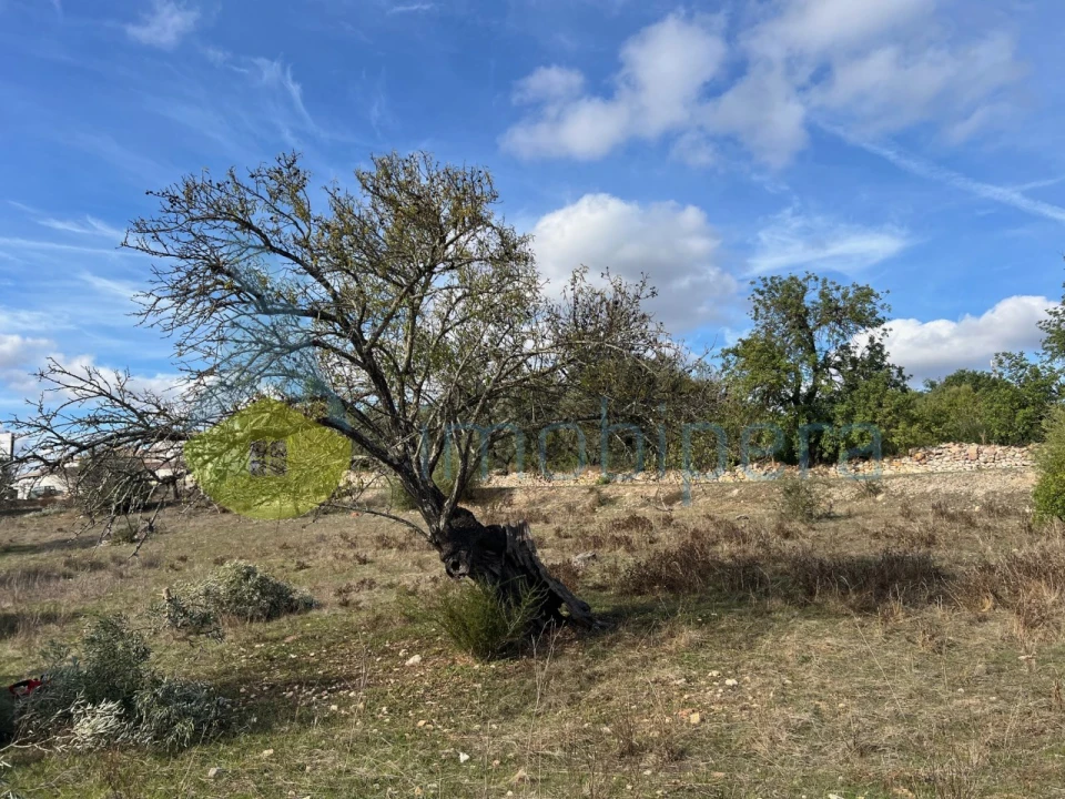 Terreno para Venda em Paderne Foto 22